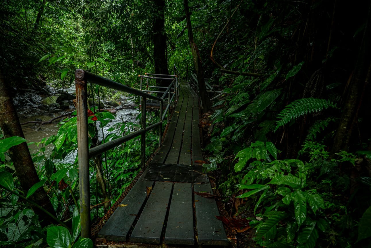 Mariposas, senderos y mucho más lo esperan en mágica catarata por dos mil colones.