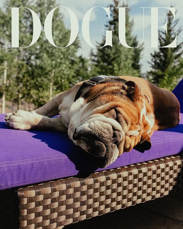 Lewis Hamilton y su perro Roscoe