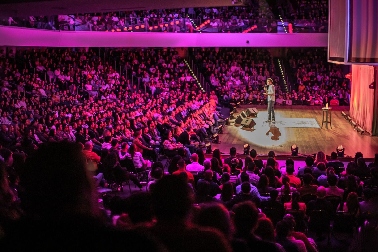 Gato x Liebre ha sido todo un éxito.