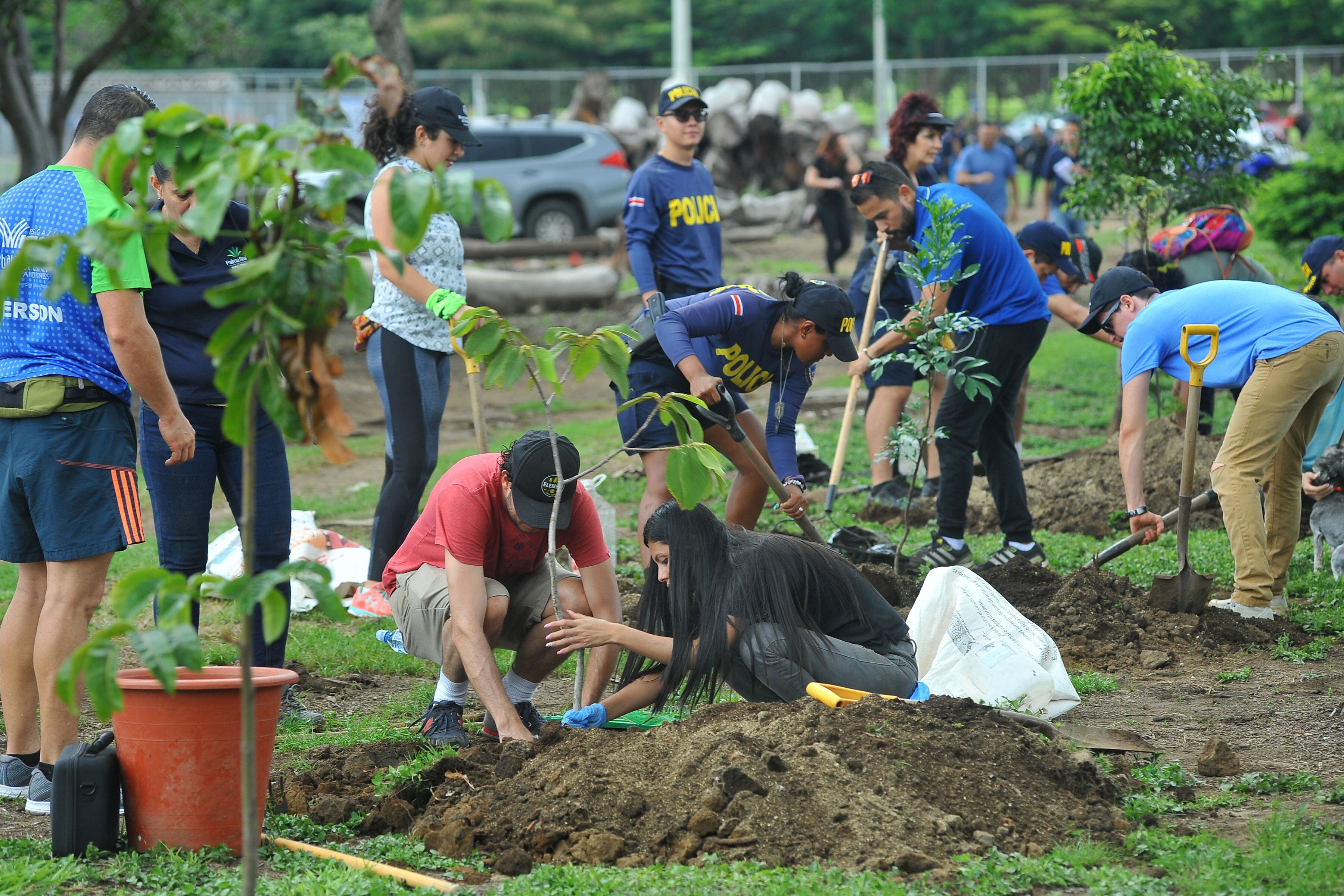 Aprovechando la celebración del Día Nacional del Árbol, que fue este 15 de junio, el Instituto Costarricense del Deporte y la Recreación (Icoder) y el Scotiabank, confirmaron que después de 13 años finaliza el proyecto de arborización “Una Nueva Sabana” en Parque Metropolitano La Sabana.