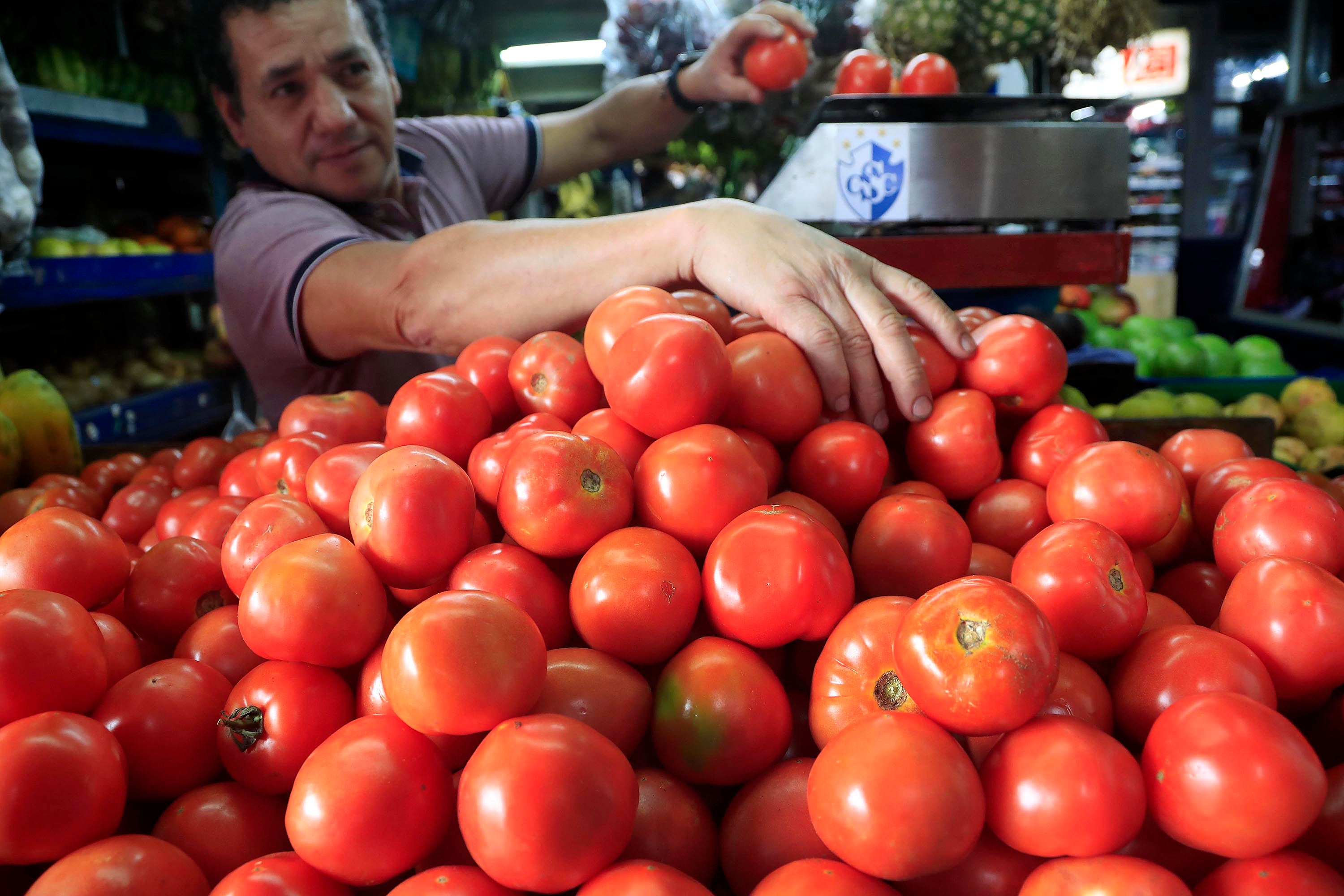Un comerciante acomoda tomates frescos en un mercado de Costa Rica, producto que experimentó un incremento del 62,67% en su precio durante noviembre de 2024, según el índice de precios al consumidor (IPC).