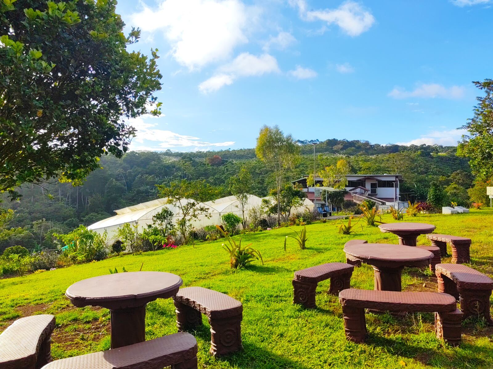 La Finca y Restaurante Lecanto le espera este fin de semana con un tour único para celebrar a papá. Cortesía.
