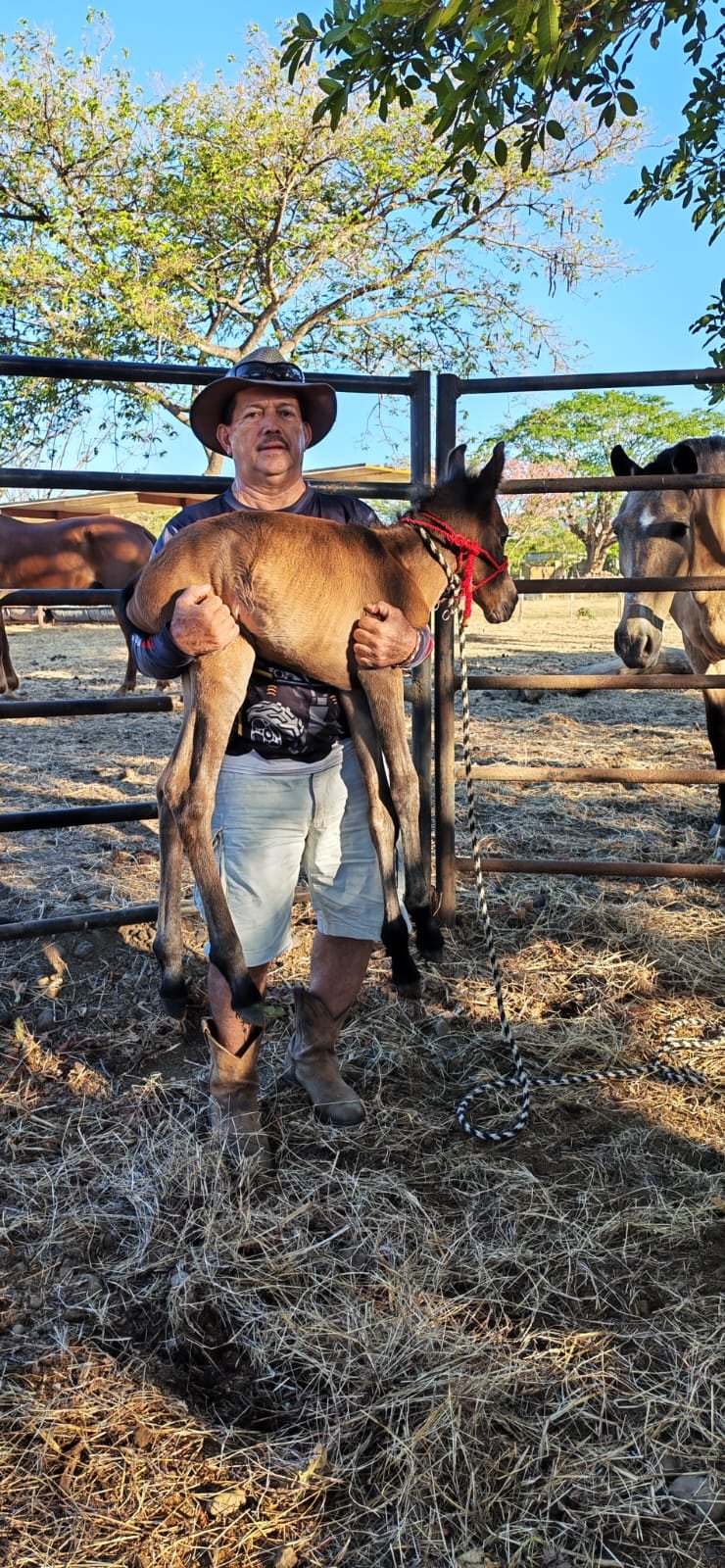 Eduardo Alfaro Cordero, de 65 años, y Dayron Alfaro Matarrita, de 22 años, padre e hijo asesinados en Nosara, Nicoya, el miércoles 27 de mayo del 2026. Foto: Cortesía para La Teja