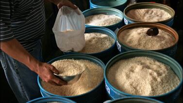 Diputado Ariel Robles sobre situación de arroceros: “Están matando a nuestros productores”