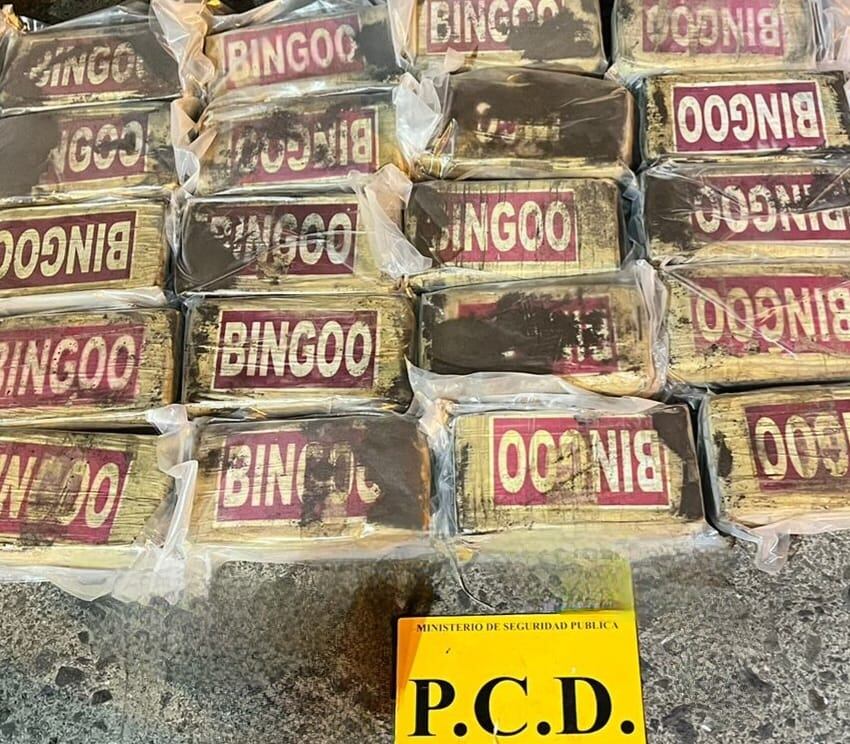Decomisan 462 kilógramos de cocaína en contenedor en Limón. Foto MSP.