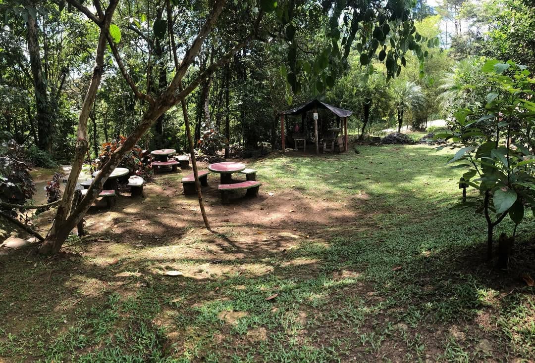 Disfrute de 20 cascadas en un mismo tour que lo atrapará con sus espectaculares vistas.