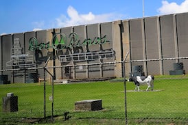 Dos Pinos participará en feria de empleo en Heredia y llega con múltiples vacantes