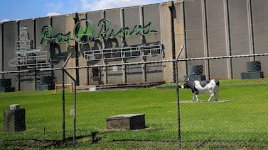 Dos Pinos participará en feria de empleo en Heredia y llega con múltiples vacantes