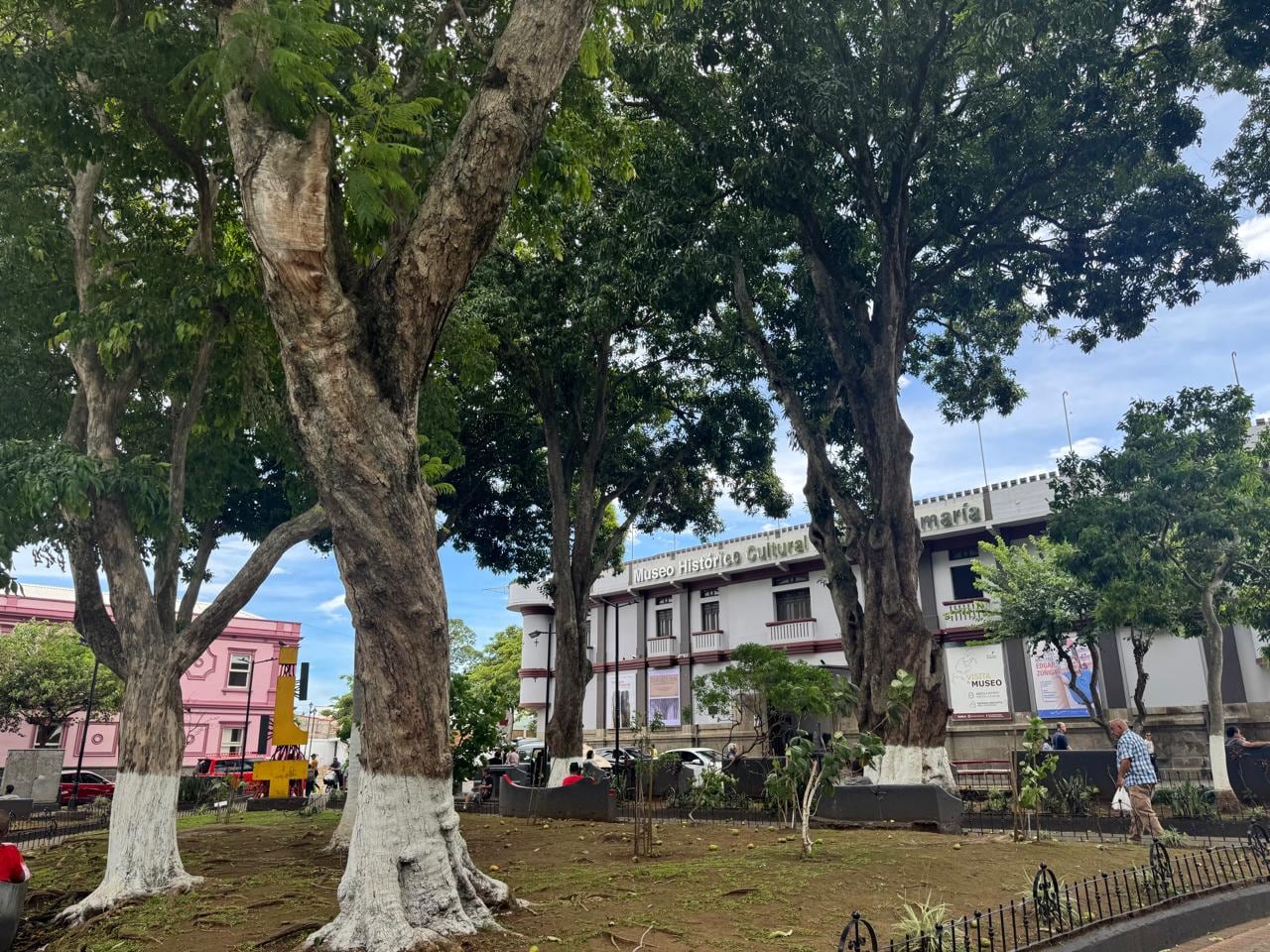 Caída de mangos en parque de Alajuela