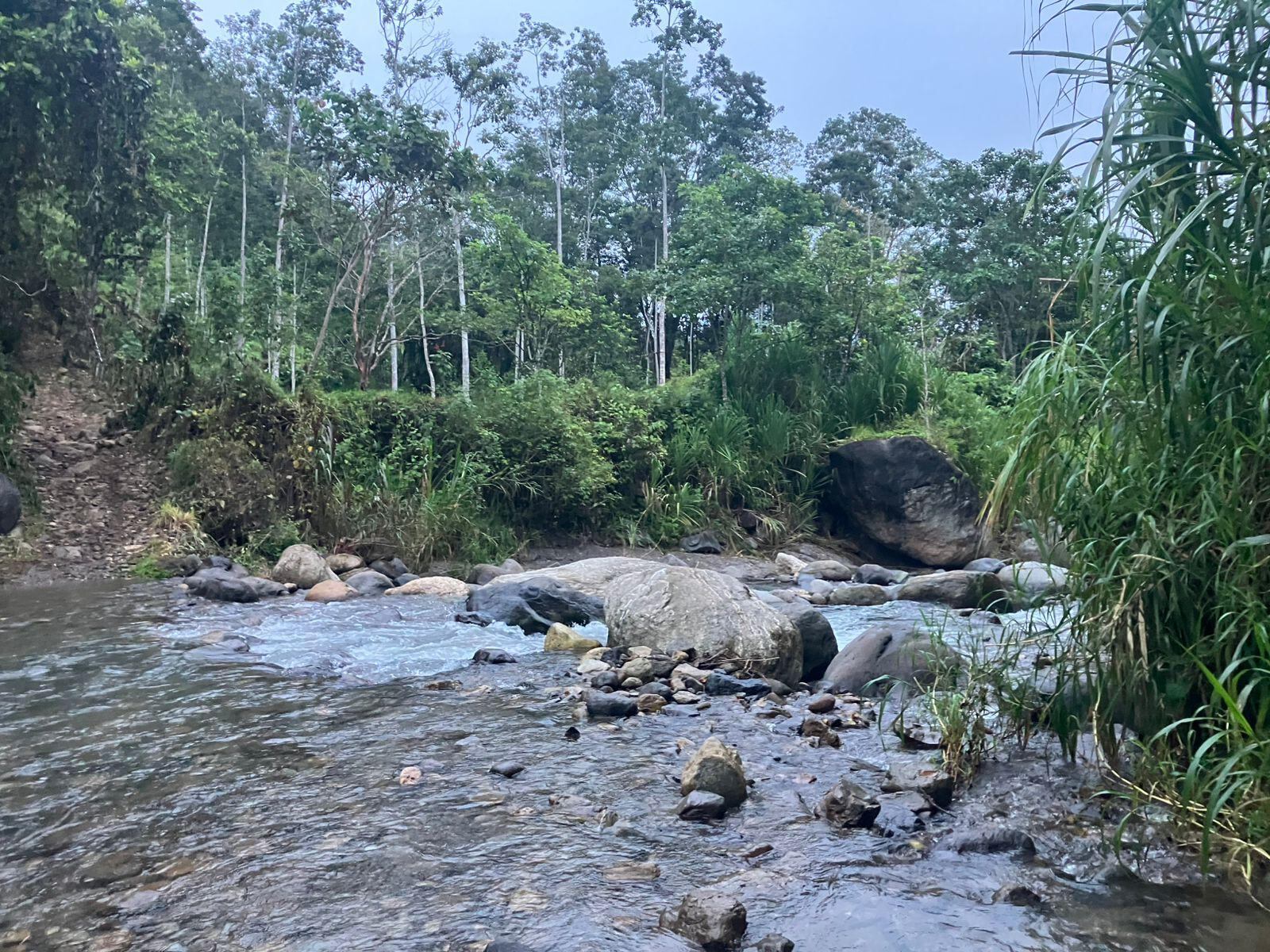 Búsqueda en montaña