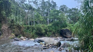 Así terminó la búsqueda del señor de 67 años extraviado en montaña de Turrialba