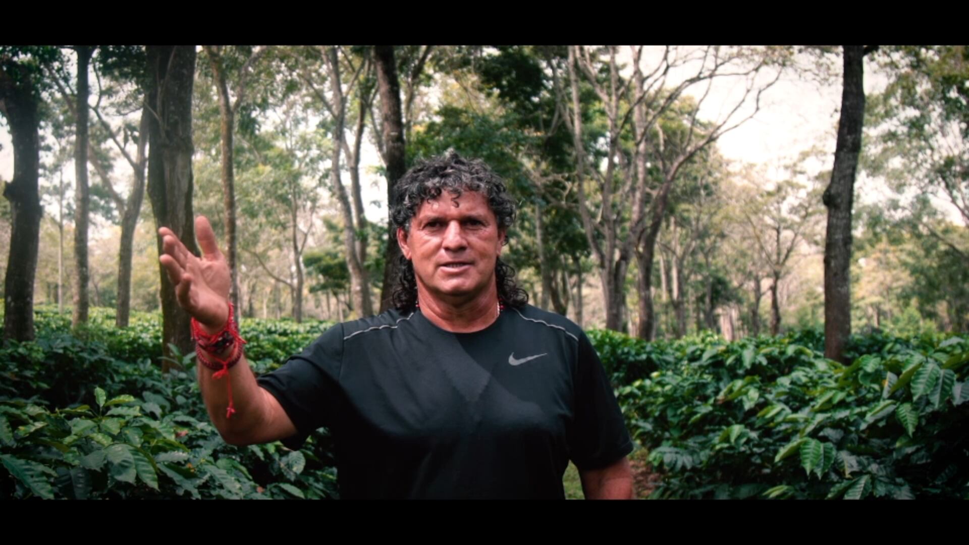 Mauricio Montero volvió a las fincas para coger café.