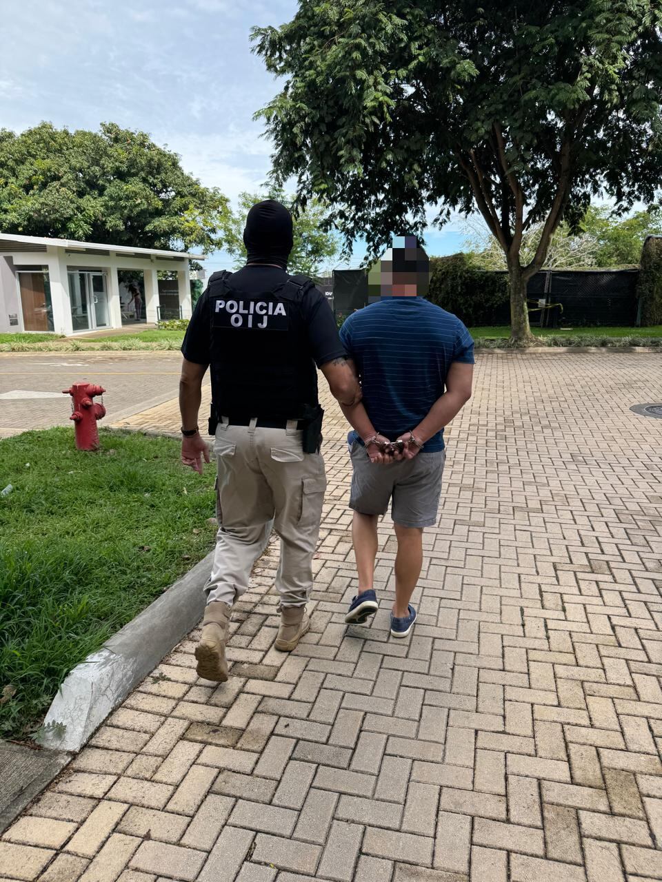 millonario negocio ilícito es el que se le atribuye a una presunta banda criminal que, al parecer, recibía vehículos robados desde Panamá para luego comercializarlos en Costa Rica. Foto: OIJ