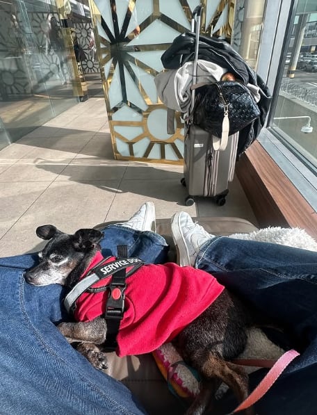 Karina Ramos y su perro Maguito