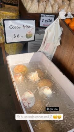 Lisbeth Valverde se fue a recargar pilas a Estados Unidos para iniciar con todo su nuevo trabajo en canal 7, pero en el país norteamericano casi le da algo con el precio que pagó por un coco.