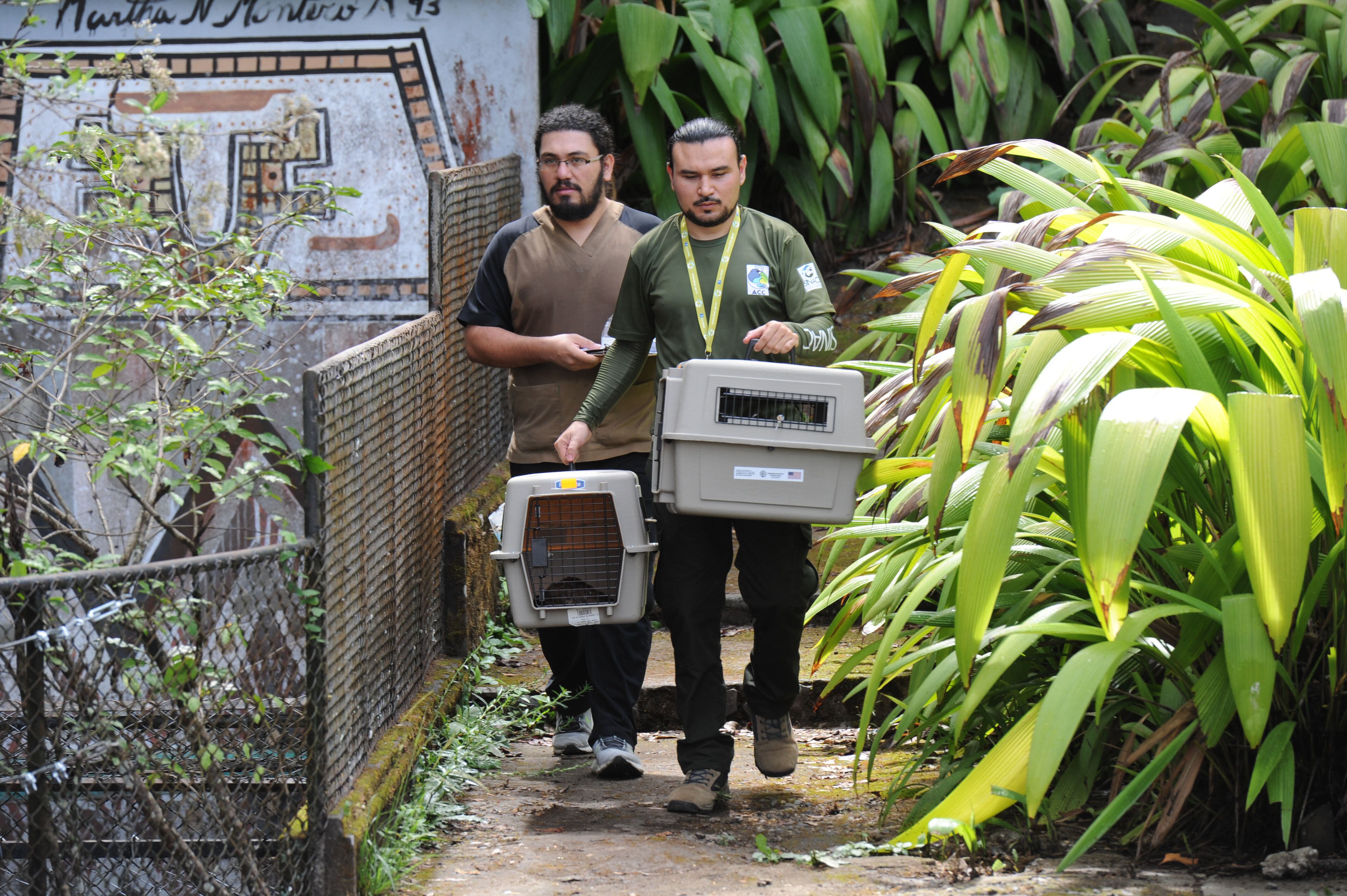 Traslado de animales del Simón Bolivar