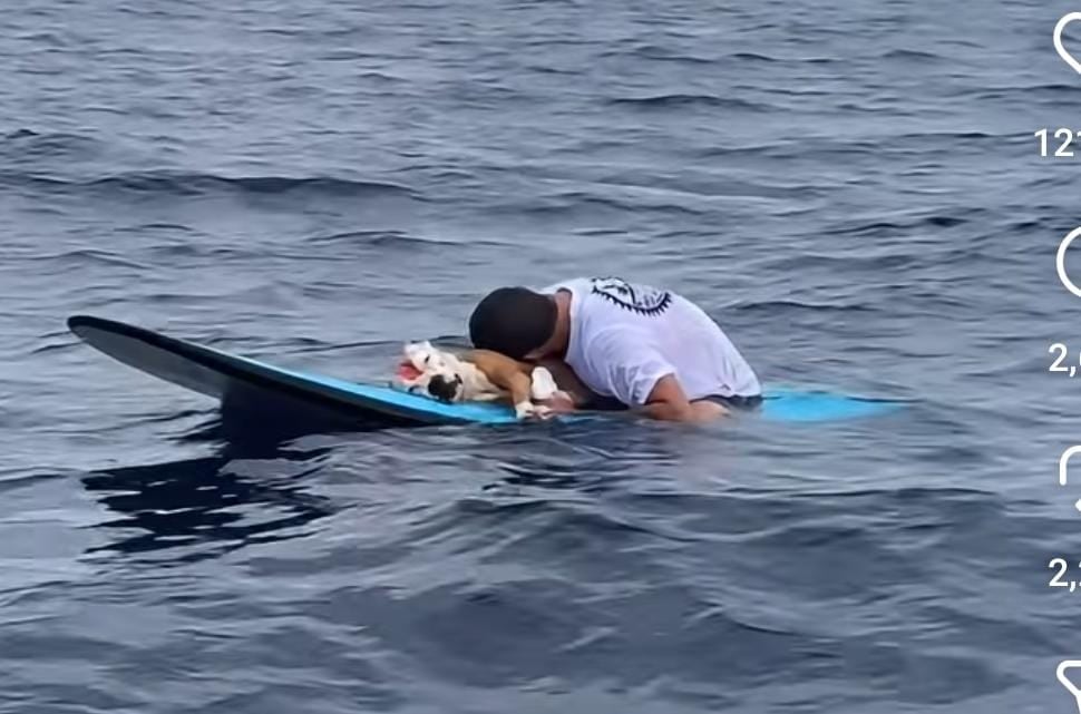 Thai fue uno de los perros más queridos de la comunidad surfista de Costa Rica.