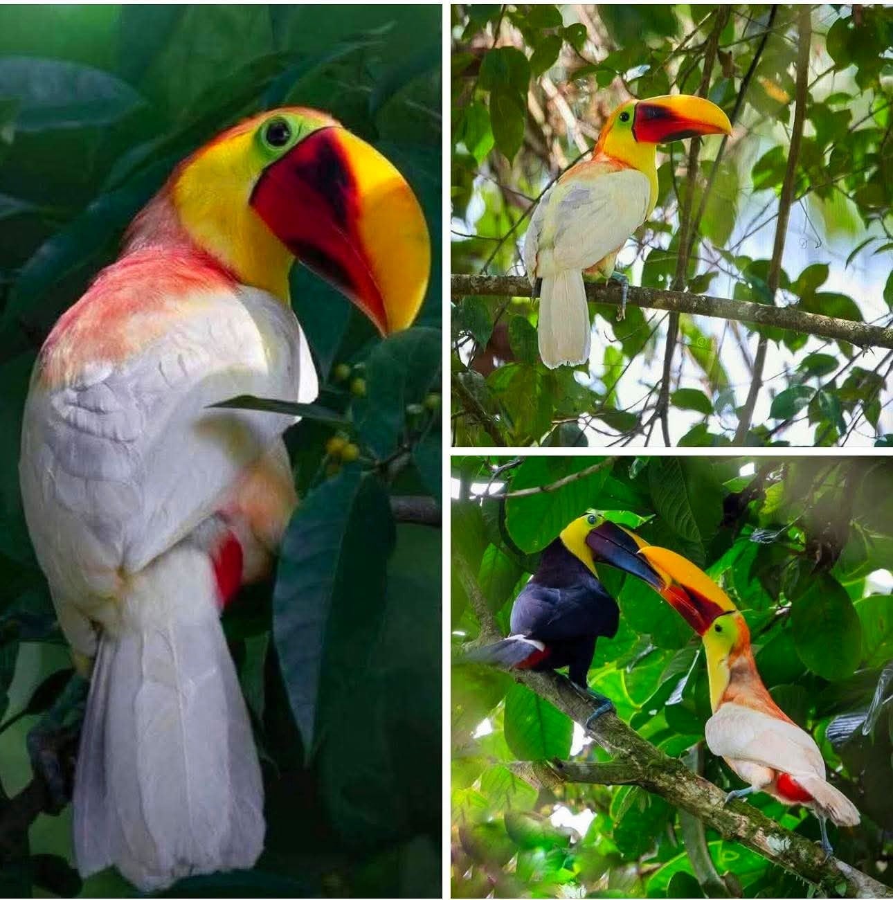 Esta fue la imagen compartida por Rossy.