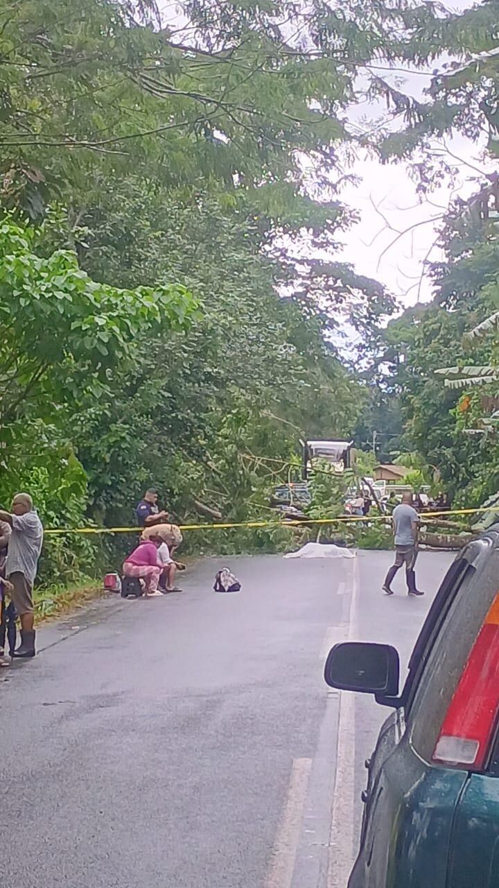 Los fuertes vientos comienzan a hacer estragos y dejan fatales consecuencias, la madrugada de este miércoles 4 de diciembre cayó un árbol en La Rita de Pococí y un muchacho murió estrellarse contra este. Foto: Tomada de redes sociales