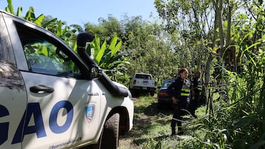 Terror en una piñera: el misterioso descubrimiento que movilizó a las autoridades de la zona sur del país
