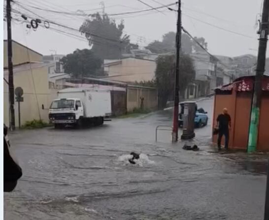 Hombre rescató a mapache de inundación