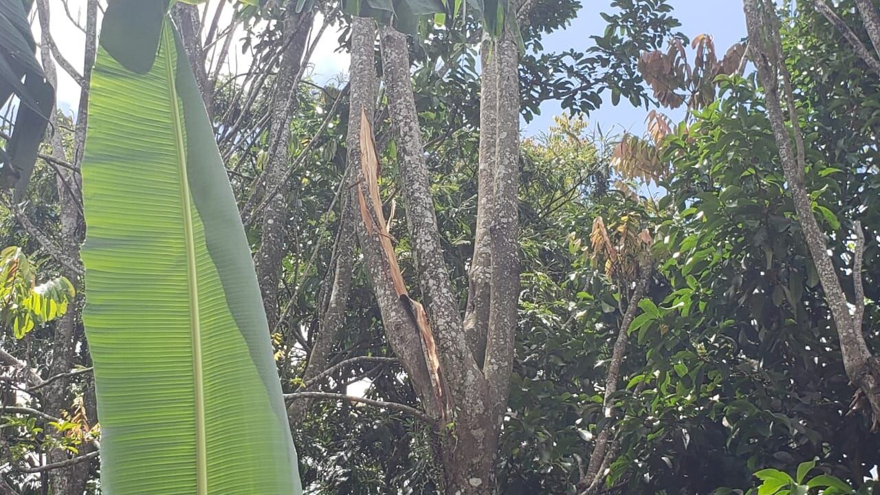 Carolina Angulo, joven embarazada que fue alcanzada por la onda expansiva de un rayo en San Carlos. Fotos Edgar Chinchilla.