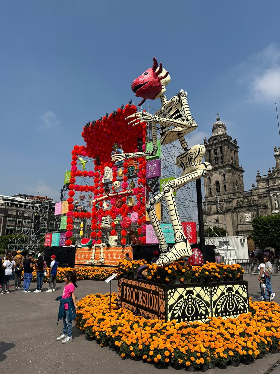 Las flores de muerto, flores amarillas o flores de cempasúchil, adornan todo el país durante estos días.
