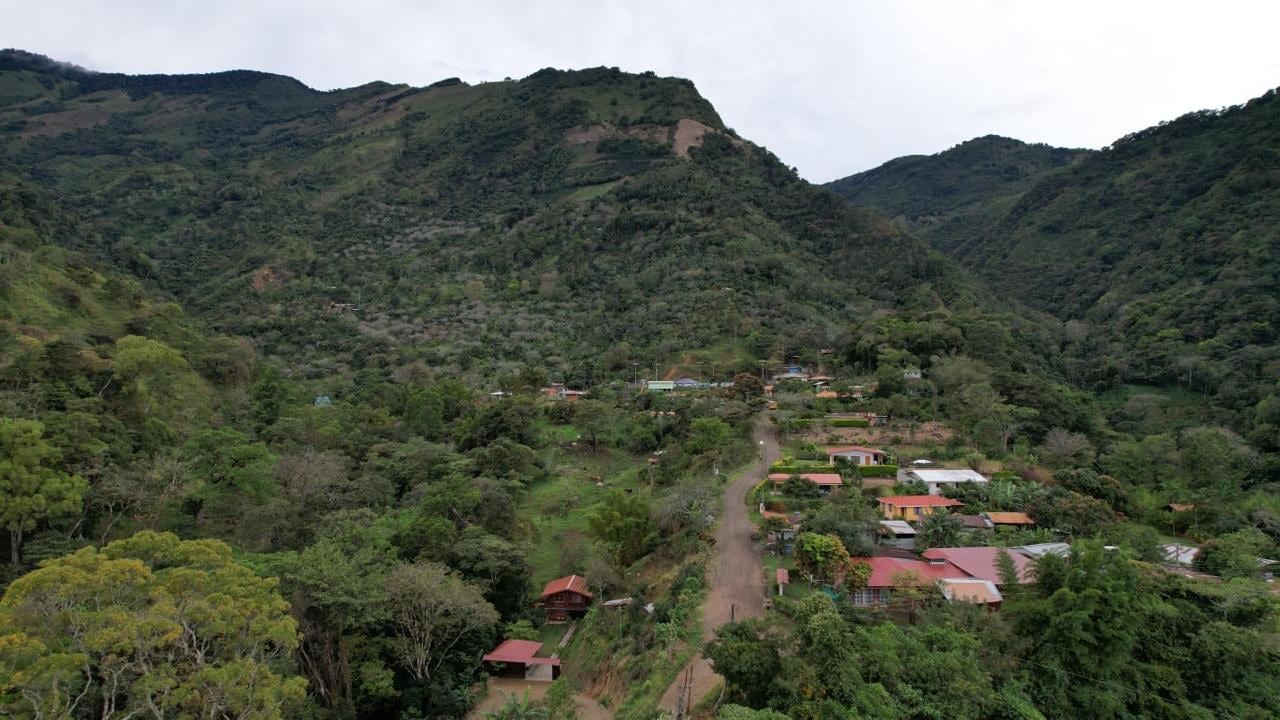 En Gravilias de Acosta, un pueblo rural al pie del cerro Dragón, rodeado de cafetales, ganado y cítricos, creció Deylin Masís Chinchilla, una joven de 17 años que se convirtió en orgullo nacional al obtener 900 puntos, la nota máxima, en el examen de admisión de la Universidad Nacional (UNA) para el ingreso 2026