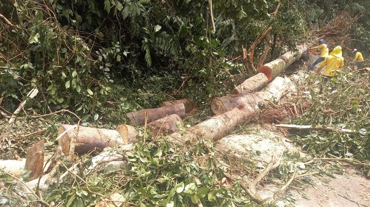 El MOPT señaló que hasta este sábado informarán la reapertura por la carretera Braulio Carrillo. Foto: MOPT