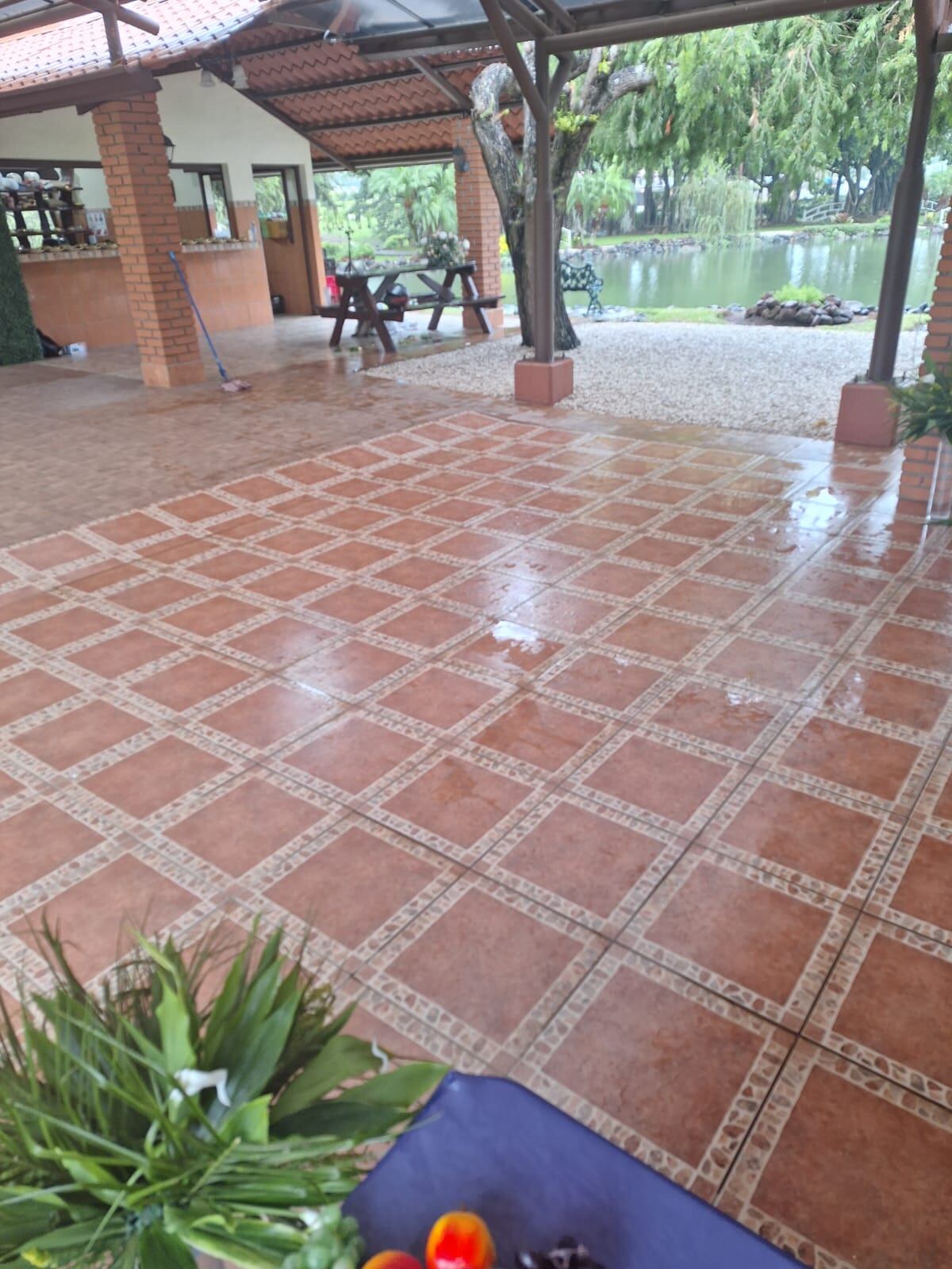 Cantante Tipi Royes, de Marfil