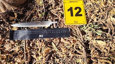 Estadounidense es detenido como sospechoso del homicidio de mujer en Junquillal