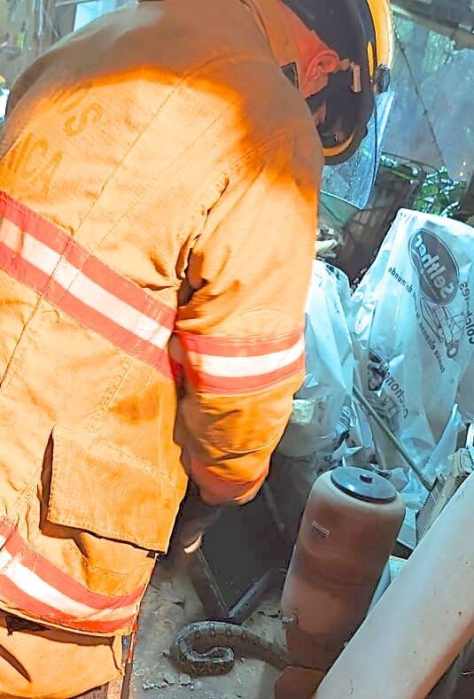 Jill Paer encontró algo espeluznante en su casa mientras revisaba unas goteras: vea fotos