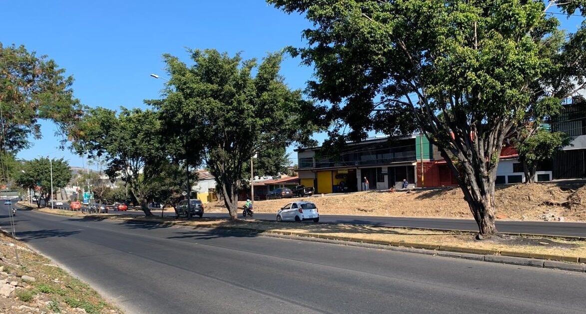 Joven choca contra árbol en medio de restricción vehicular sanitaria. El accidente ocurrió en San Sebastián. Foto Alonso Tenorio.