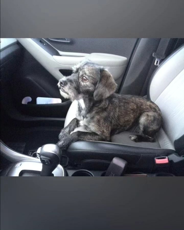 Alejandro Ramírez, periodista de canal 8 de Multimedios.