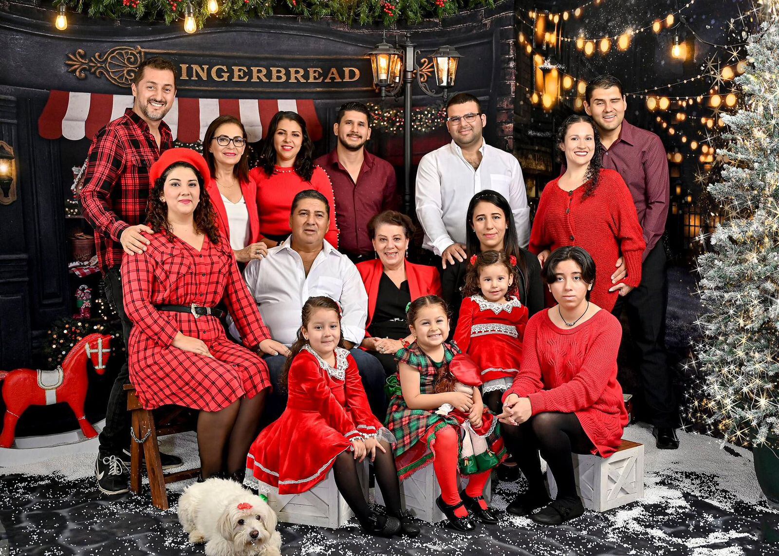 Mariano García Cerna, fotógrafo profesional dueño del estudio fotográfico Tony, un estudio que tiene 40 años, nos confirma que las fotos familares con perros y gatos aumentaron después de la pandemia