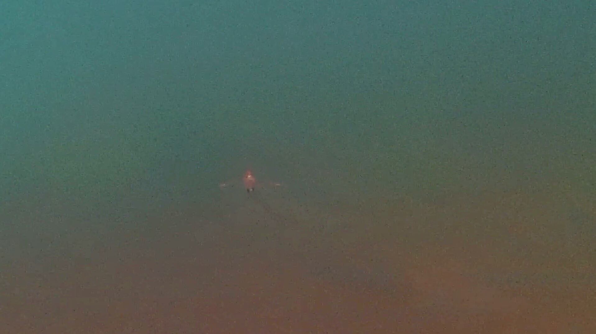 Científicos de la Universidad Nacional de Costa Rica y la Universidad de Florida del Sur han confirmado que en la laguna del volcán Poás sí hay vida.