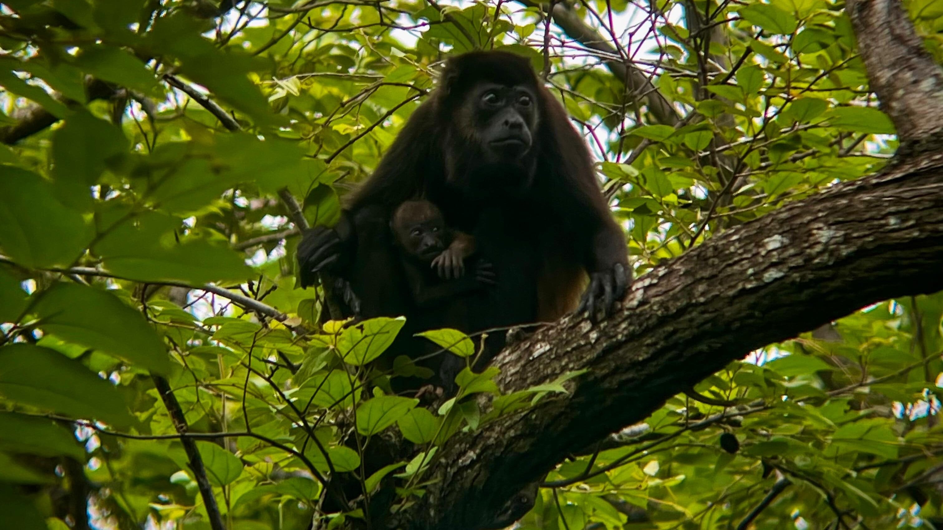 Catarata Llanos del Cortés es un proyecto Eco-Turístico de la Municipalidad de Bagaces.