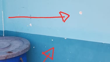 Así fueron los momentos de terror que vivieron niños y maestros por balacera en Cartago