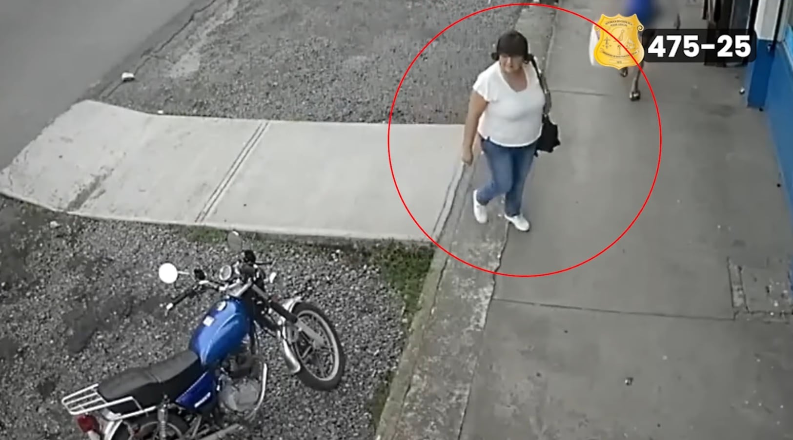 Los sospechosos fueron grabados por una cámara de seguridad. Foto OIJ.