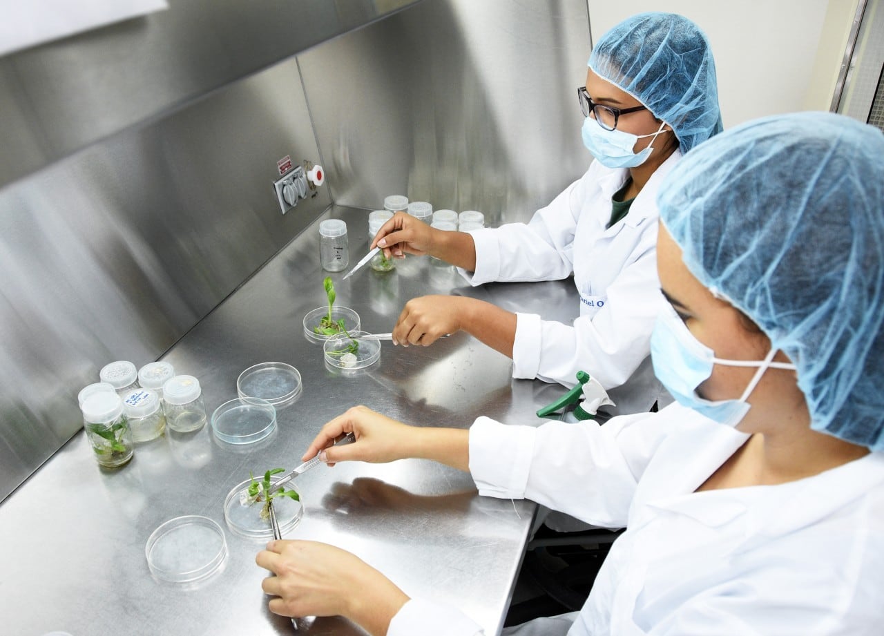 Ingeniería en Biotecnología es la carrera del TEC más cotizada. Fotografía: