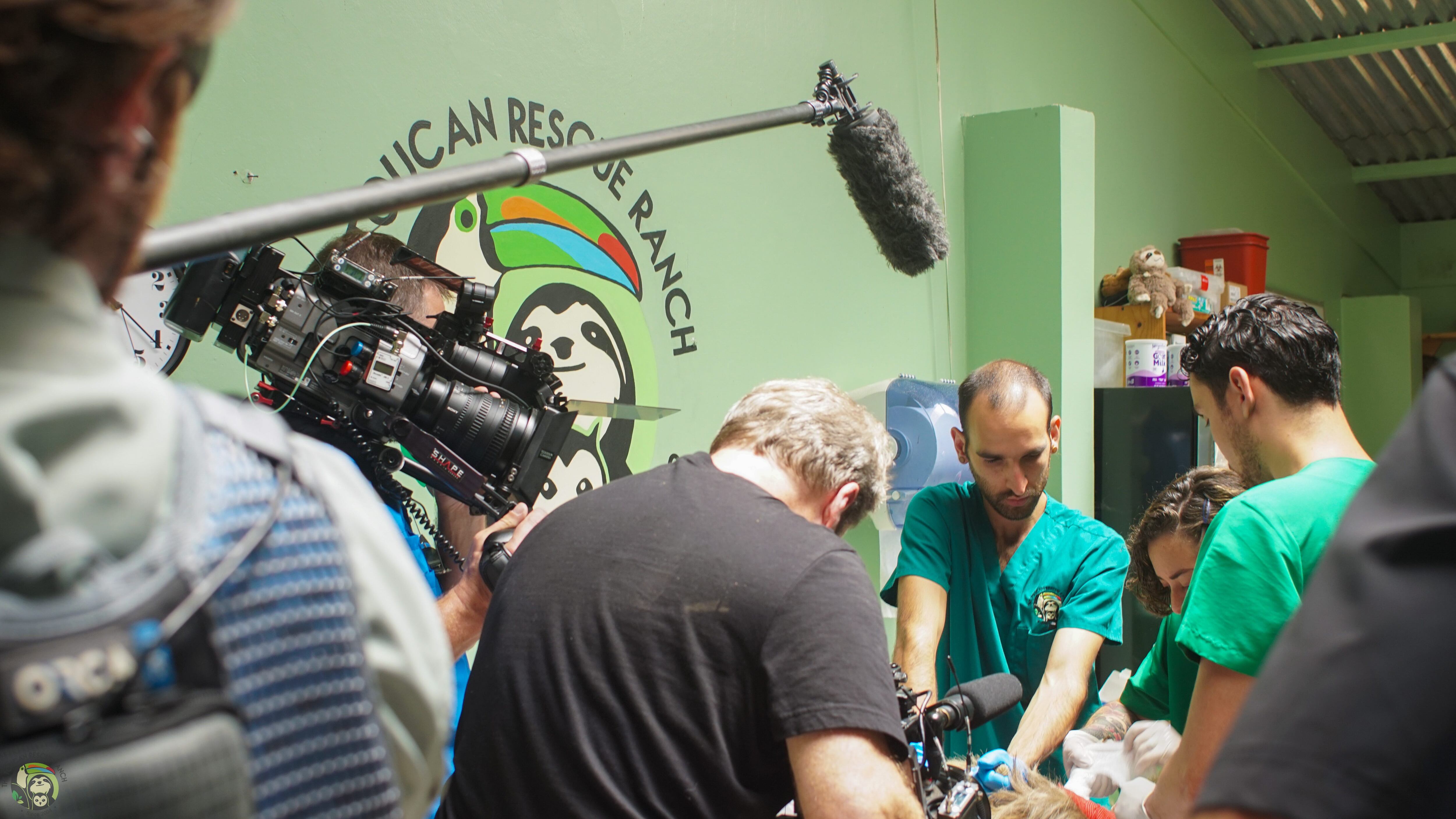 El programa 60 Minutes de la cadena CBS emitirá un episodio sobre el rescate de perezosos en el Toucan Rescue Ranch de Costa Rica.