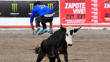 Joven montador lucha por su vida tras quedar inconsciente en el redondel de toros de Zapote