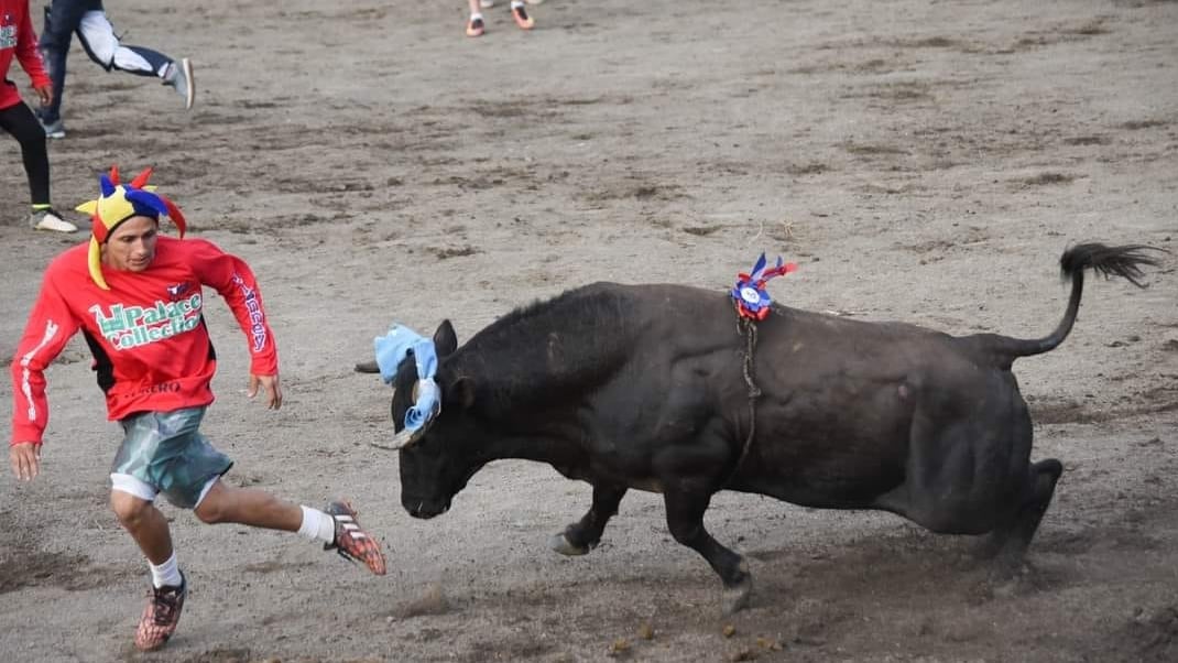 Muy poquitos lo conocen como Paul de Jesús Vasconcelos Chavarría, sin embargo, al decir que hablamos de Pikos, el torero improvisado, una mayor cantidad de gente sí lo reconoce porque lo ha visto desde el 2019 en las transmisiones televisivas de los toros de fin y principio de año.