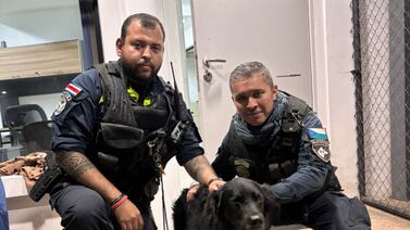 Perro fue amarrado y arrastrado por ocupantes de una moto en Moravia