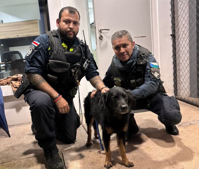 Perro fue amarrado y arrastrado por los ocupantes de una moto