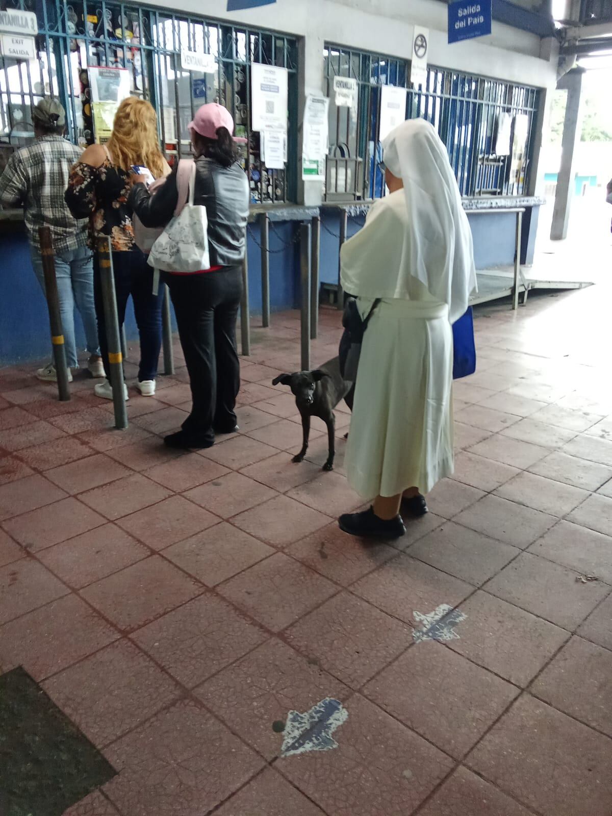 En la estación fronteriza de Tica Bus en Paso Canoas, entre pasaportes, maletas, boletos y sonrisas, hay un personaje muy especial que se ha ganado el cariño de todos: Abelito González, un perrito amigable y noble que se ha convertido en el favorito de los pasajeros y colaboradores