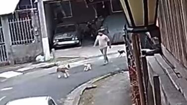 Vecino que habría agredido a perrito de la cantante de Calle 8 pide disculpas y da su versión