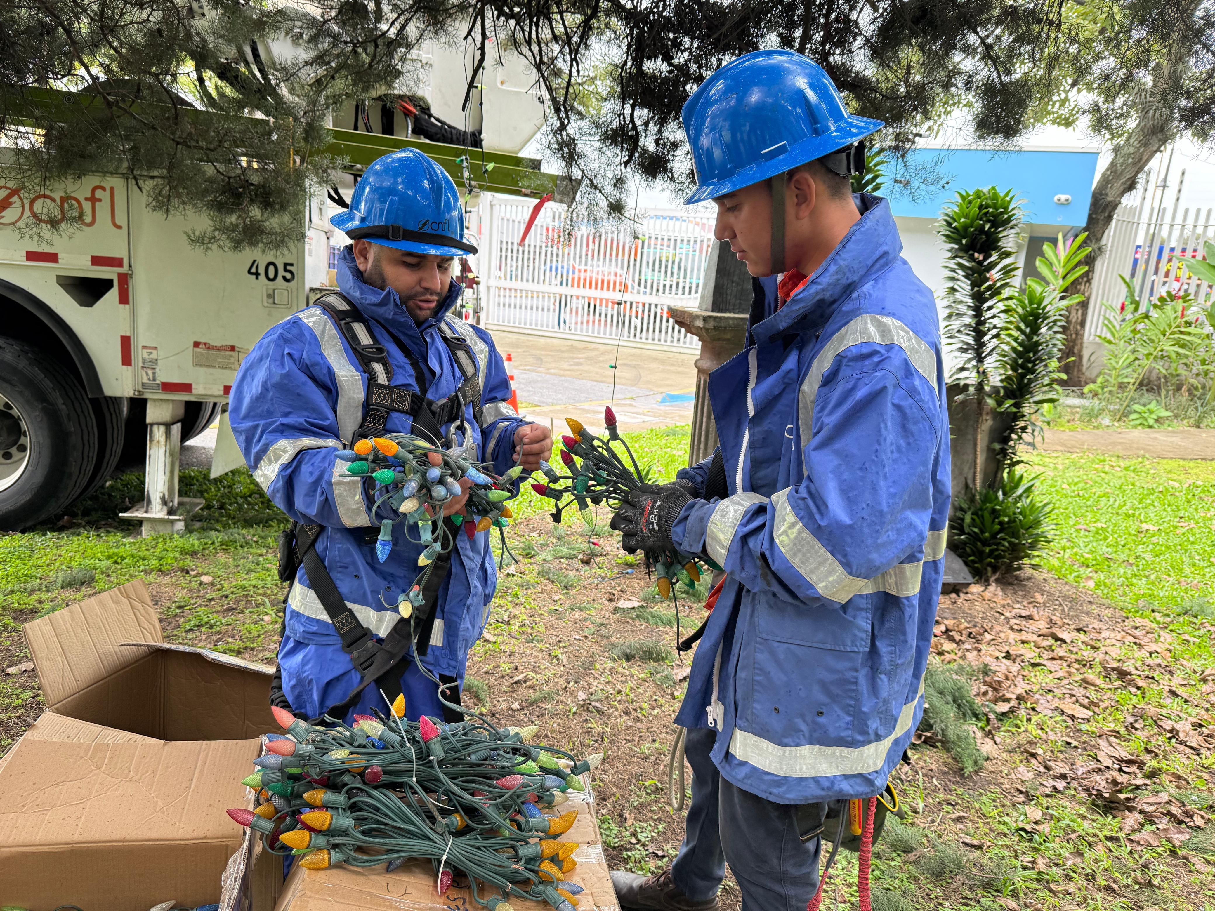 Navidad 2025: La Compañía Nacional de Fuerza y Luz, en noviembre, inició la colocación de luces en el árbol del Hospital de Niños que tendrá su iluminación oficial el 4 de diciembre