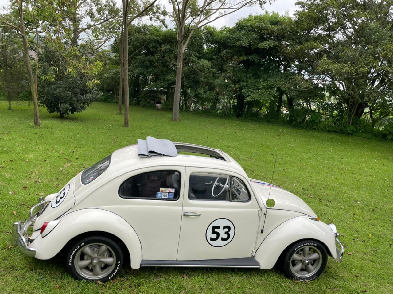 Maximiliano Peralta y Mariano Peralta, herbie, vollkswagen, vocho