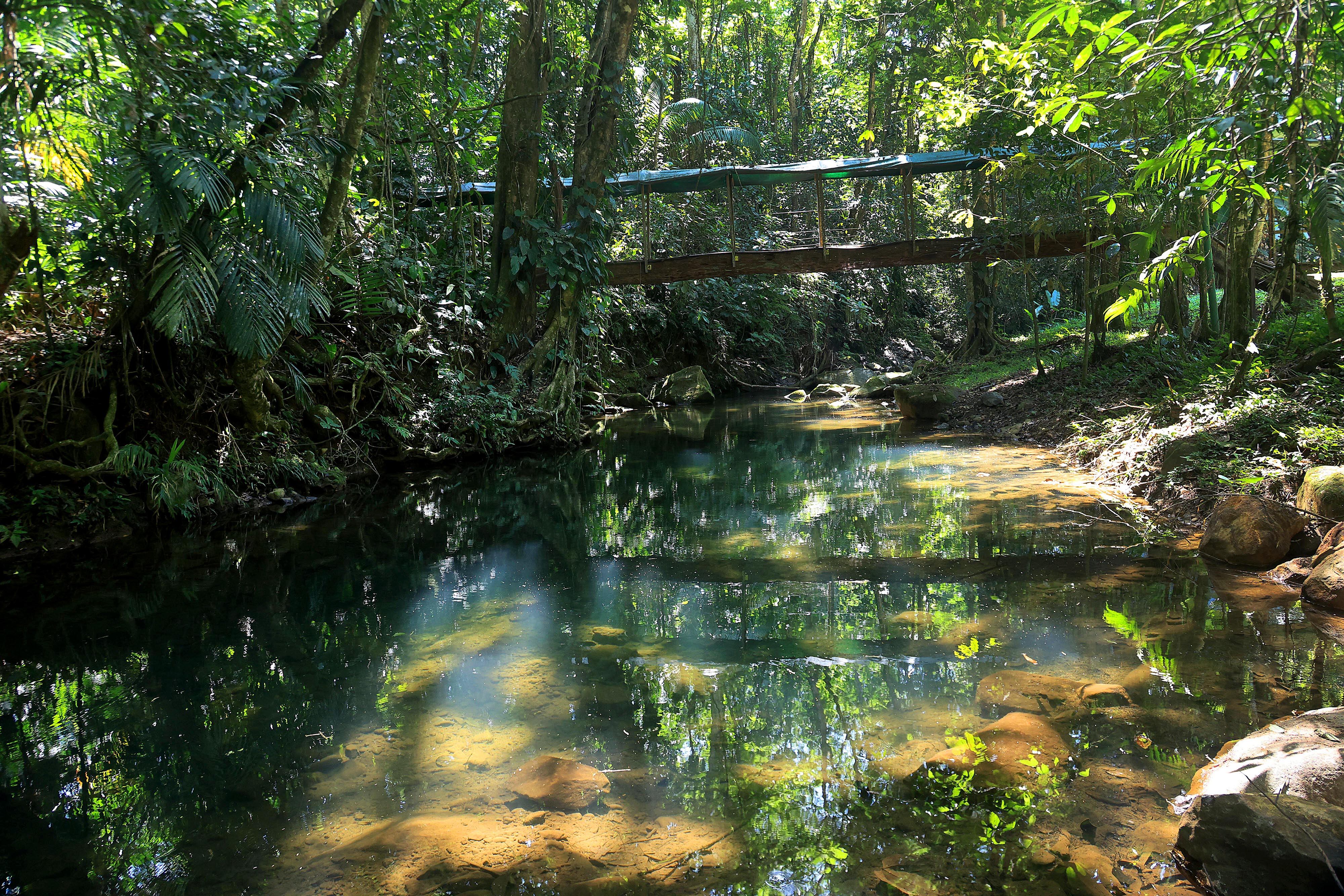 06/03/2024 Río Cuarto de Alajuela. Hotel del Bosque, ofrece caminatas por senderos naturales, servicio de restaurante, gimnasio, canchas y áreas al aire libre para practicar deporte, incluyendo una piscina natural. Foto: Rafael Pacheco Granados